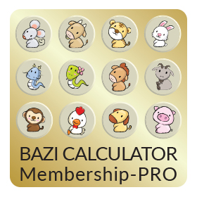 Bazi Calculator Report